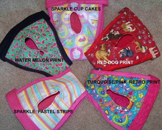 2012 panties1 copy