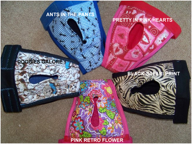 2012 panties2