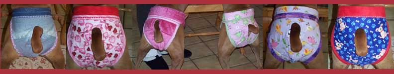 panty banner