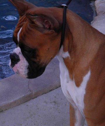 Max head3 9mo