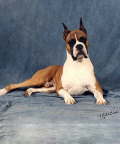 Charlie 
