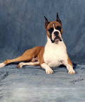 Charlie 