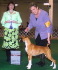 Link to Fancy's picture gallery