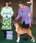 Link to Fancy's picture gallery