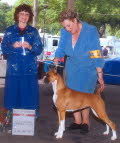 Link to Fancy's picture gallery
