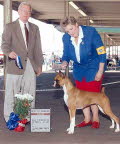Link to Fancy's picture gallery