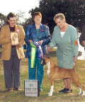 Link to Fancy's picture gallery