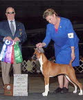 Link to Stella's picture gallery