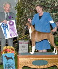 Link to Stella's picture gallery