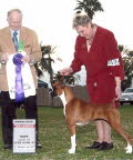 Link to Stella's picture gallery