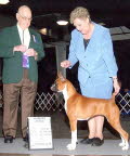 Link to Stella's picture gallery