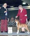 Link to Stella's picture gallery