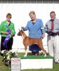 Link to Stella's picture gallery