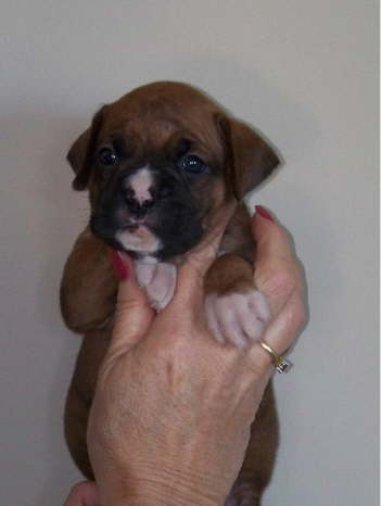 Katie-Available